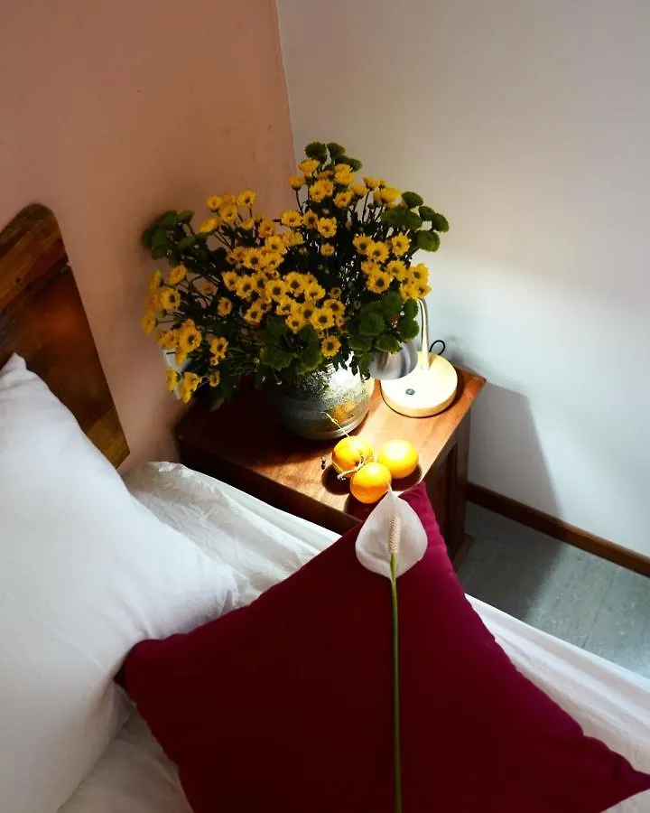 Laholm Hotel - Apartment Nha Trang
